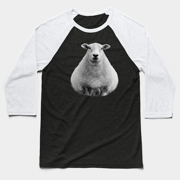 Black and White Sheep Baseball T-Shirt by tribbledesign